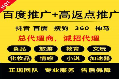 百度竞价广告运营全解析：成功案例揭秘